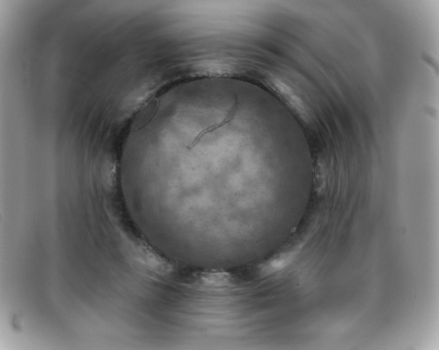 X0000095880355200801111138