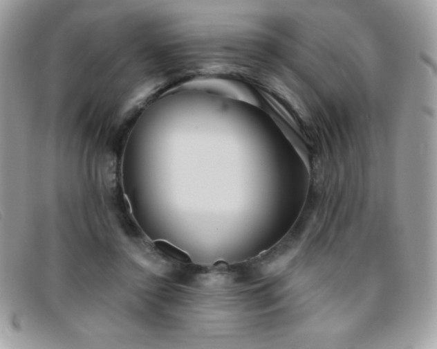 X0000095880356200801111138