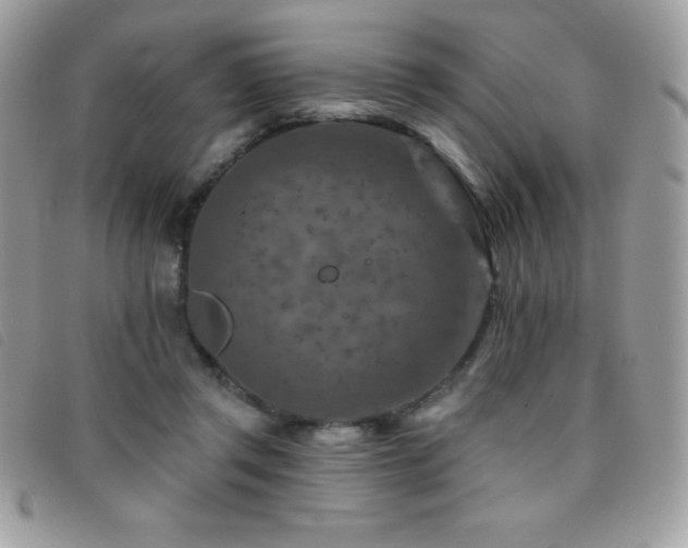 X0000095880357200801111138
