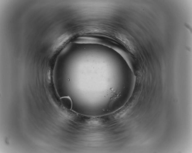 X0000095880358200801111138