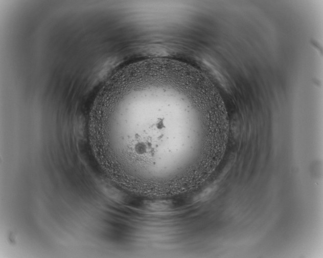 X0000095880359200801111138