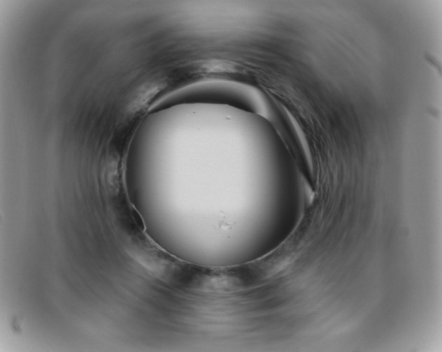 X0000095880360200801111138