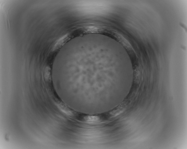 X0000095880361200801111138