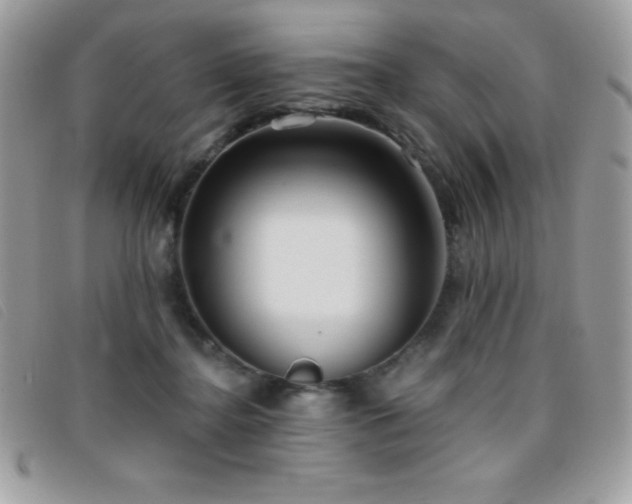 X0000095880364200801111138