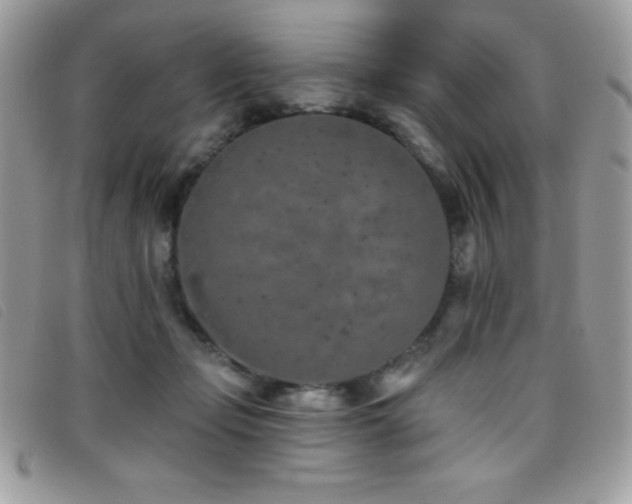 X0000095880365200801111138