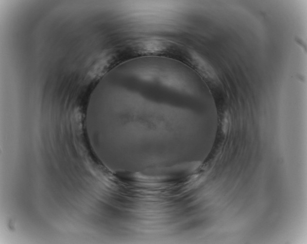 X0000095880366200801111138