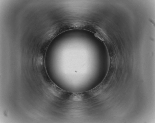 X0000095880368200801111138