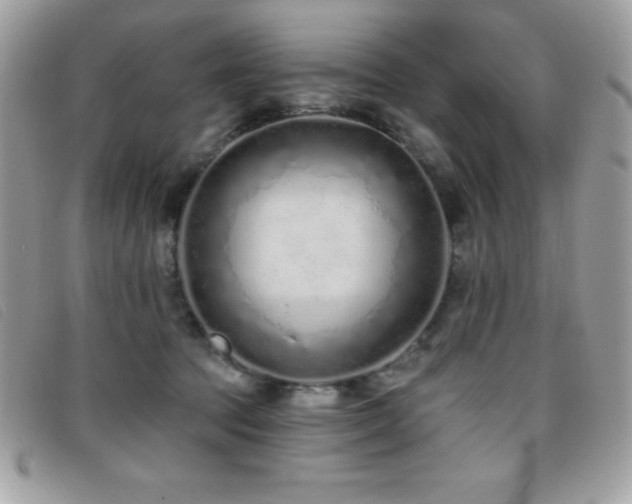 X0000095880369200801111138