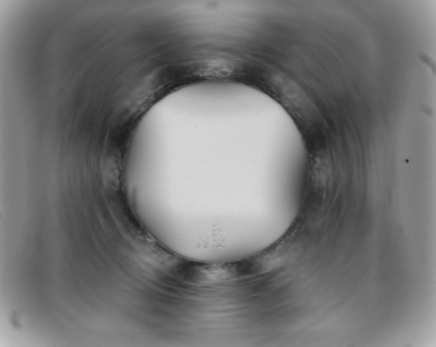 X0000095880370200801111138