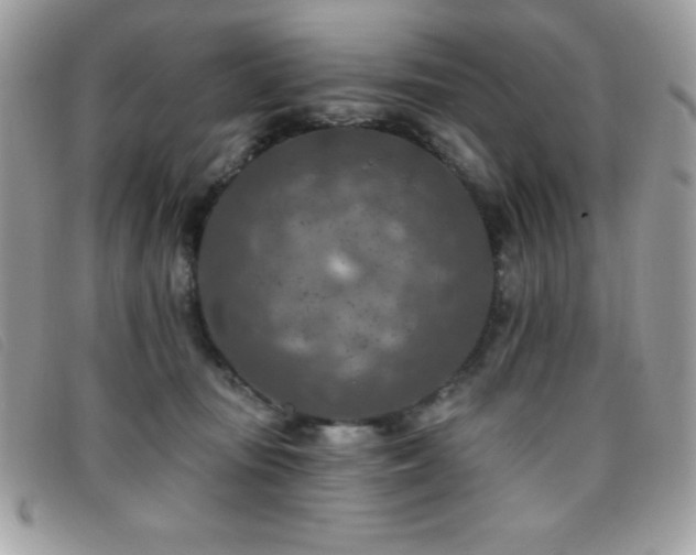 X0000095880371200801111138