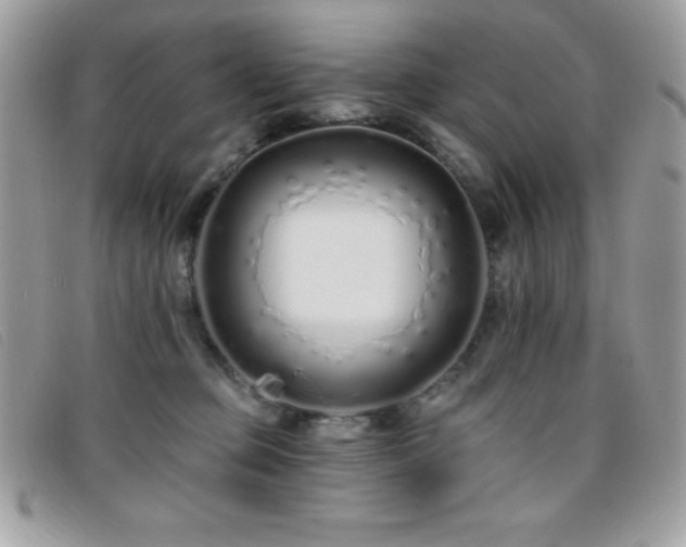 X0000095880373200801111138