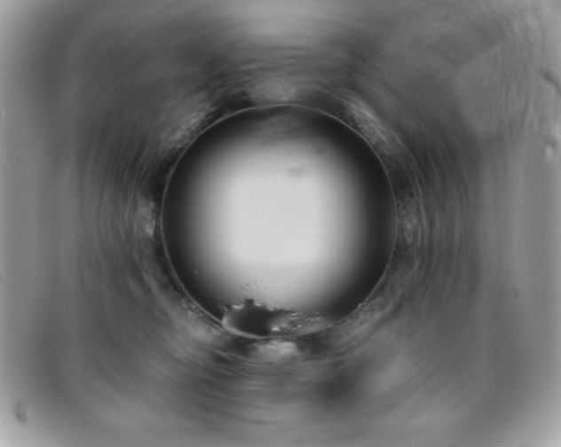 X0000095880374200801111138