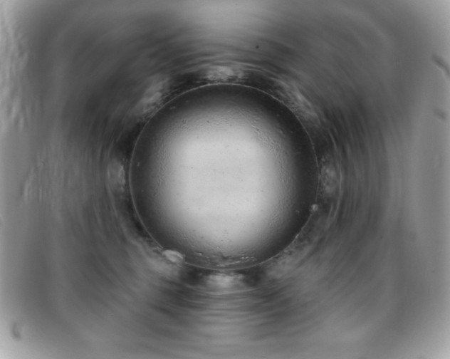 X0000095880375200801111138