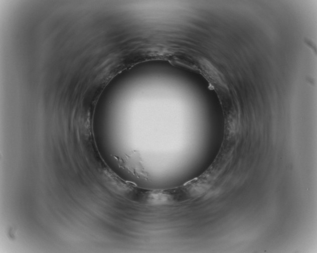 X0000095880376200801111138