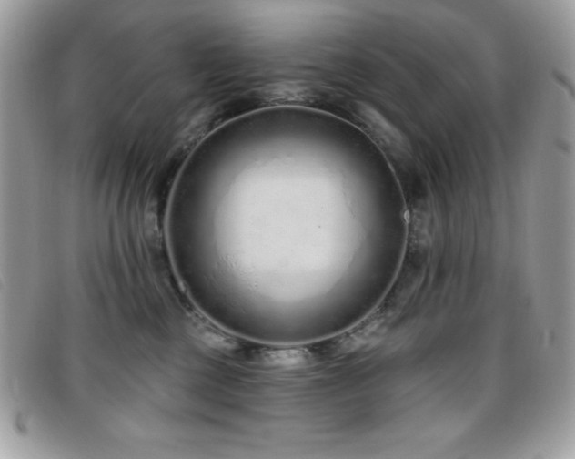 X0000095880377200801111138