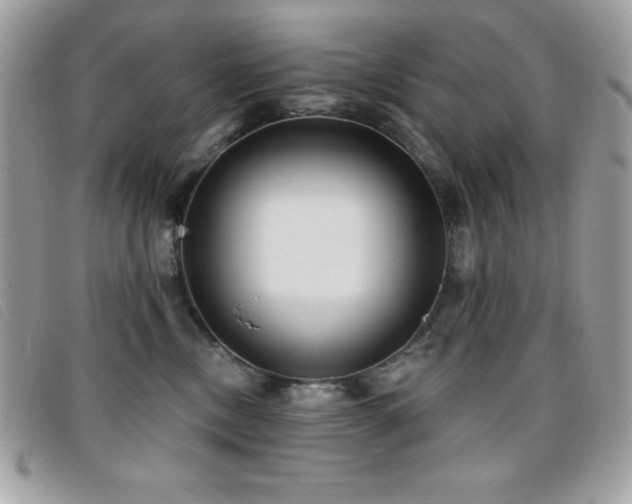 X0000095880378200801111138