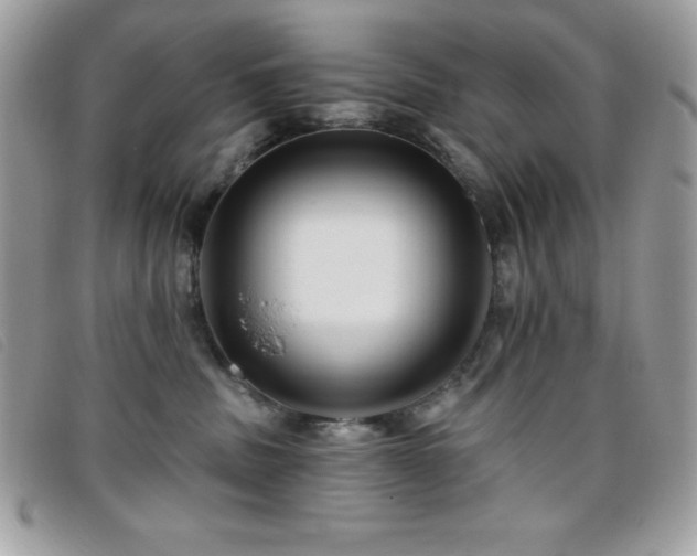 X0000095880379200801111138