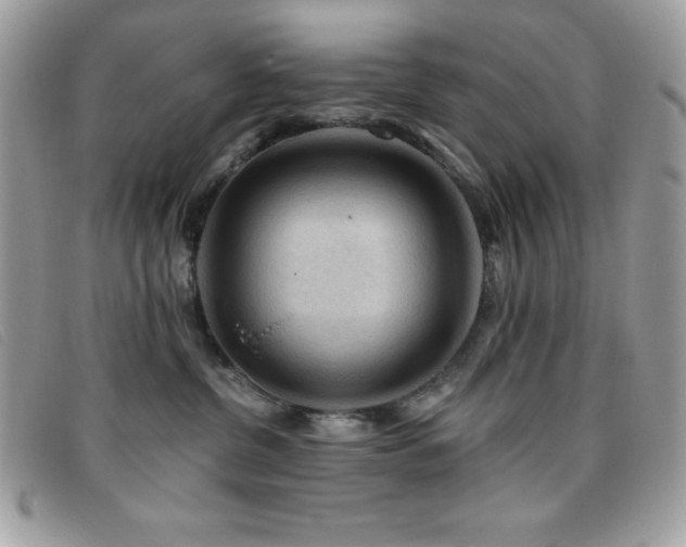 X0000095880380200801111138