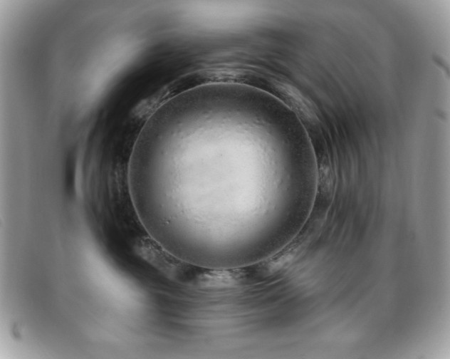 X0000095880381200801111138