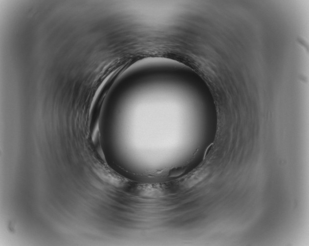 X0000095880384200801111138