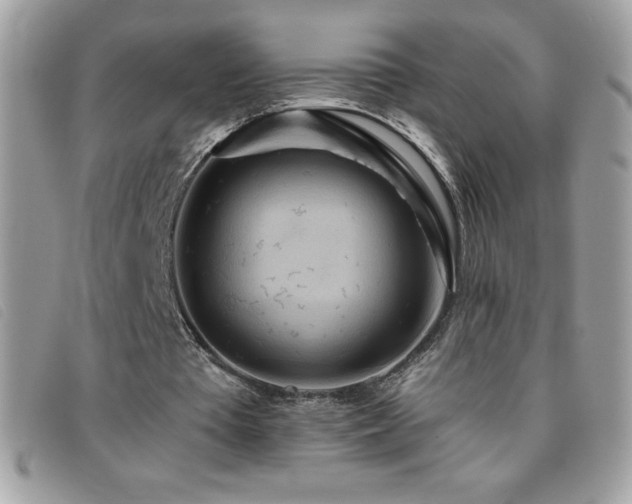 X0000095880385200801111138