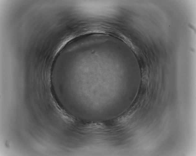 X0000095880386200801111138