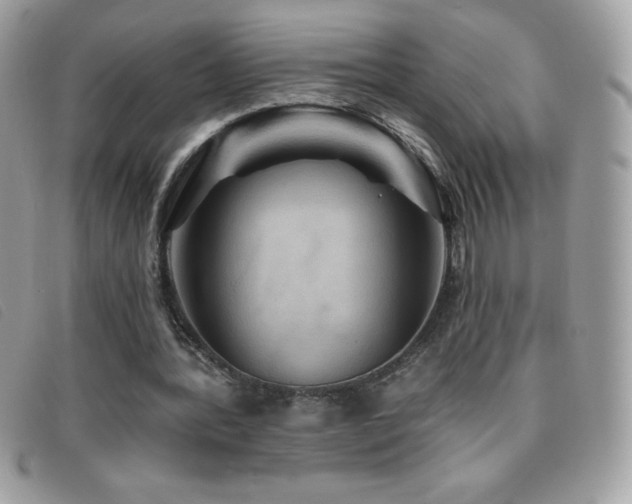 X0000095880388200801111138