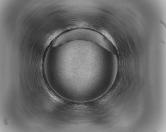 X0000095880389200801111138