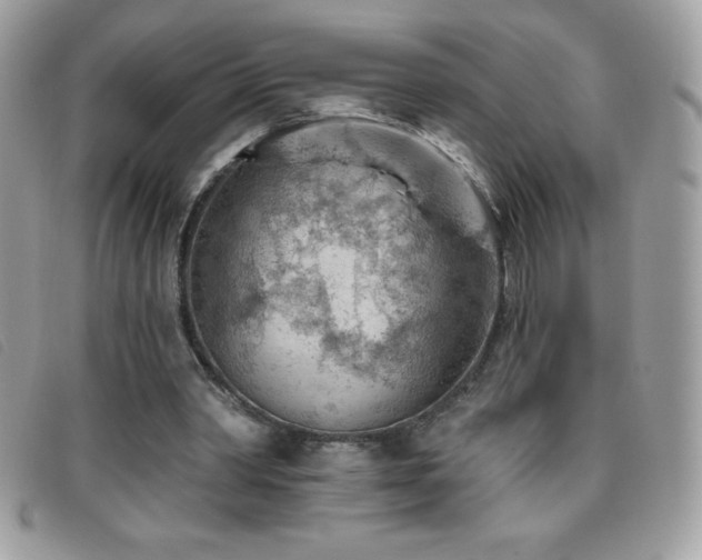 X0000095880390200801111138