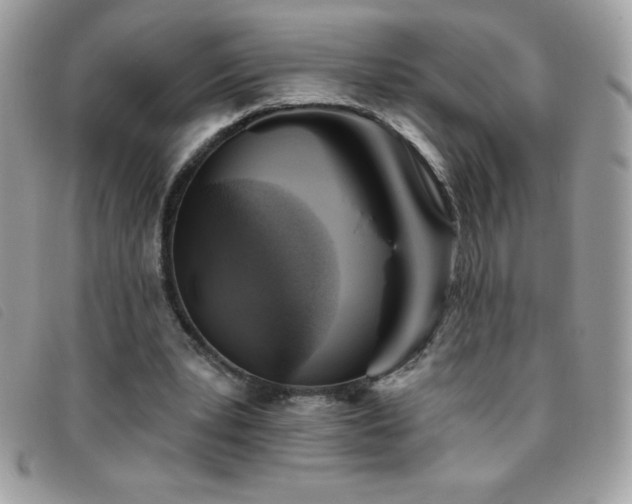 X0000095880391200801111138