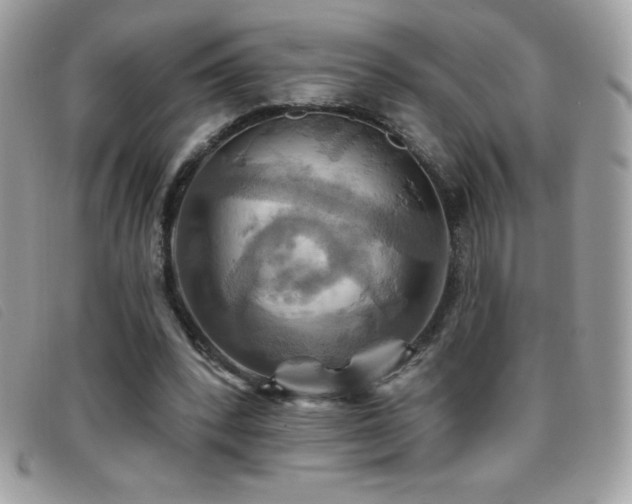 X0000095880392200801111138