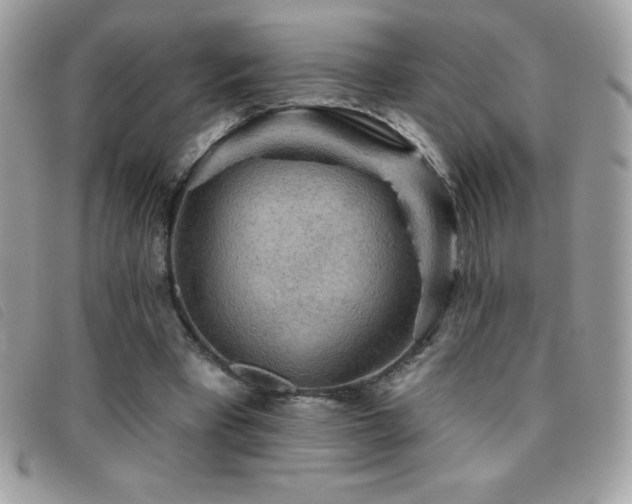 X0000095880393200801111138