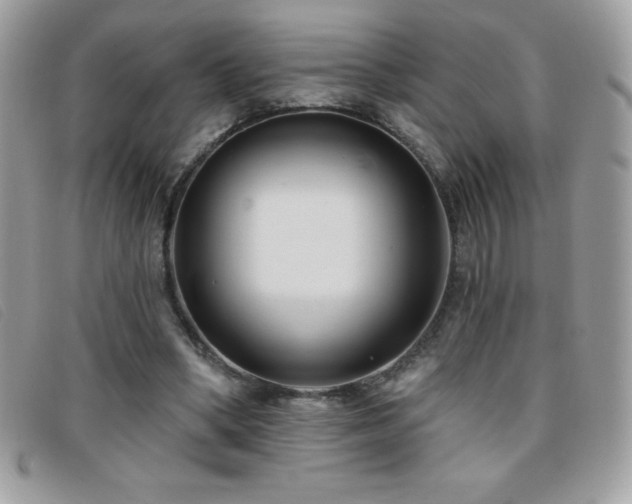 X0000095880394200801111138