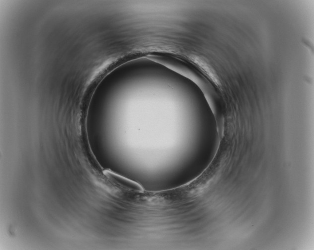 X0000095880395200801111138