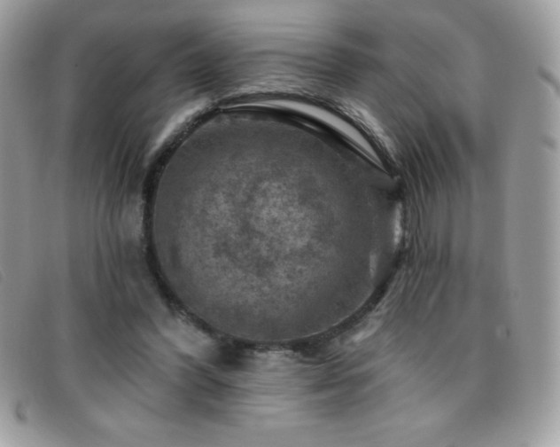 X0000095880396200801111138