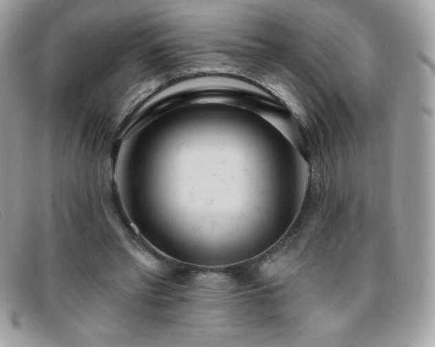 X0000095880397200801111138