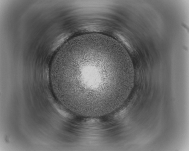X0000095880398200801111138