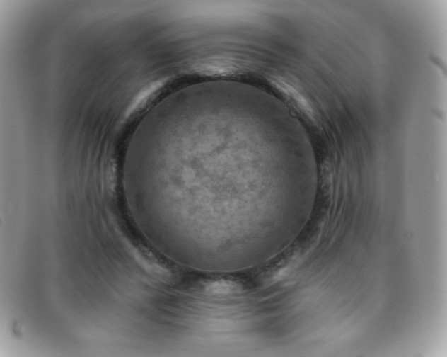 X0000095880400200801111138