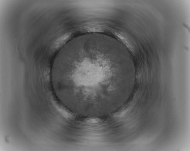 X0000095880402200801111138