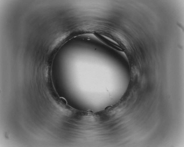X0000095880404200801111138