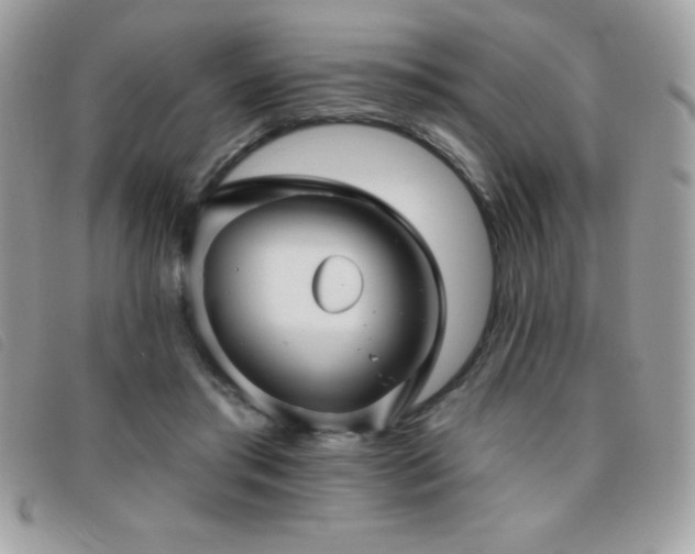 X0000095880405200801111138