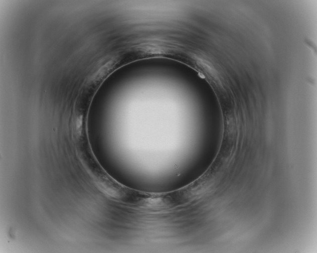 X0000095880406200801111138