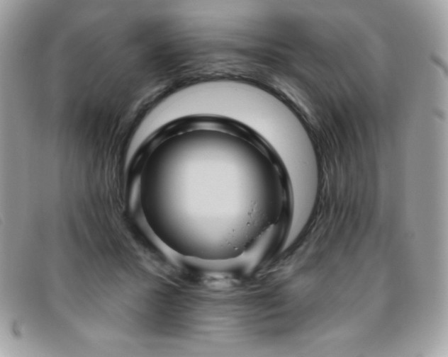 X0000095880407200801111138