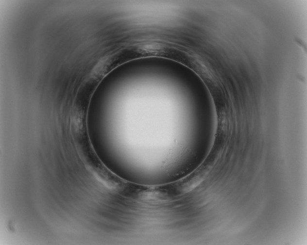 X0000095880408200801111138