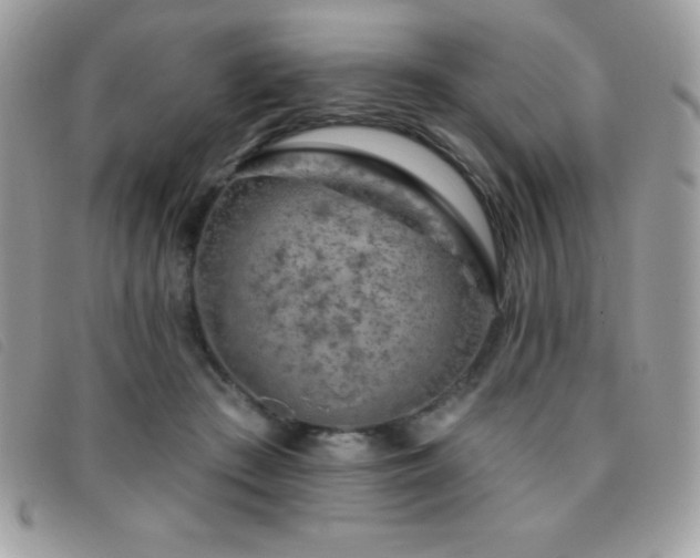 X0000095880409200801111137