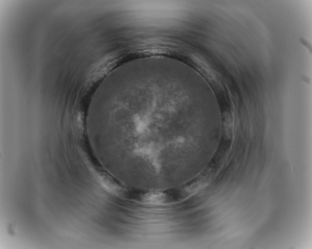 X0000095880410200801111137