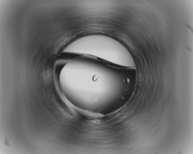 X0000095880411200801111137
