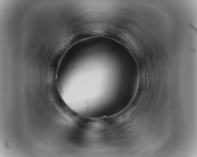 X0000095880412200801111137