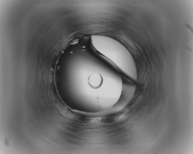 X0000095880413200801111137