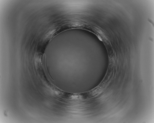 X0000095880415200801111137